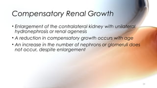 Compensatory Renal Growth
• Enlargement of the contralateral kidney with unilateral
hydronephrosis or renal agenesis
• A reduction in compensatory growth occurs with age
• An increase in the number of nephrons or glomeruli does
not occur, despite enlargement
20
 