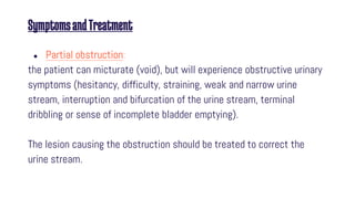 SymptomsandTreatment
● Partial obstruction:
the patient can micturate (void), but will experience obstructive urinary
symptoms (hesitancy, difficulty, straining, weak and narrow urine
stream, interruption and bifurcation of the urine stream, terminal
dribbling or sense of incomplete bladder emptying).
The lesion causing the obstruction should be treated to correct the
urine stream.
 