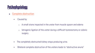 Pathophysiology
● Complete obstruction
 Caused by:
o A small stone impacted in the ureter from muscle spasm and edema
o Iatrogenic ligation of the ureter during a difficult hysterectomy or colonic
surgery.
 The completely obstructed kidney stops producing urine.
 Bilateral complete obstruction of the ureters leads to “obstructive anuria”
 