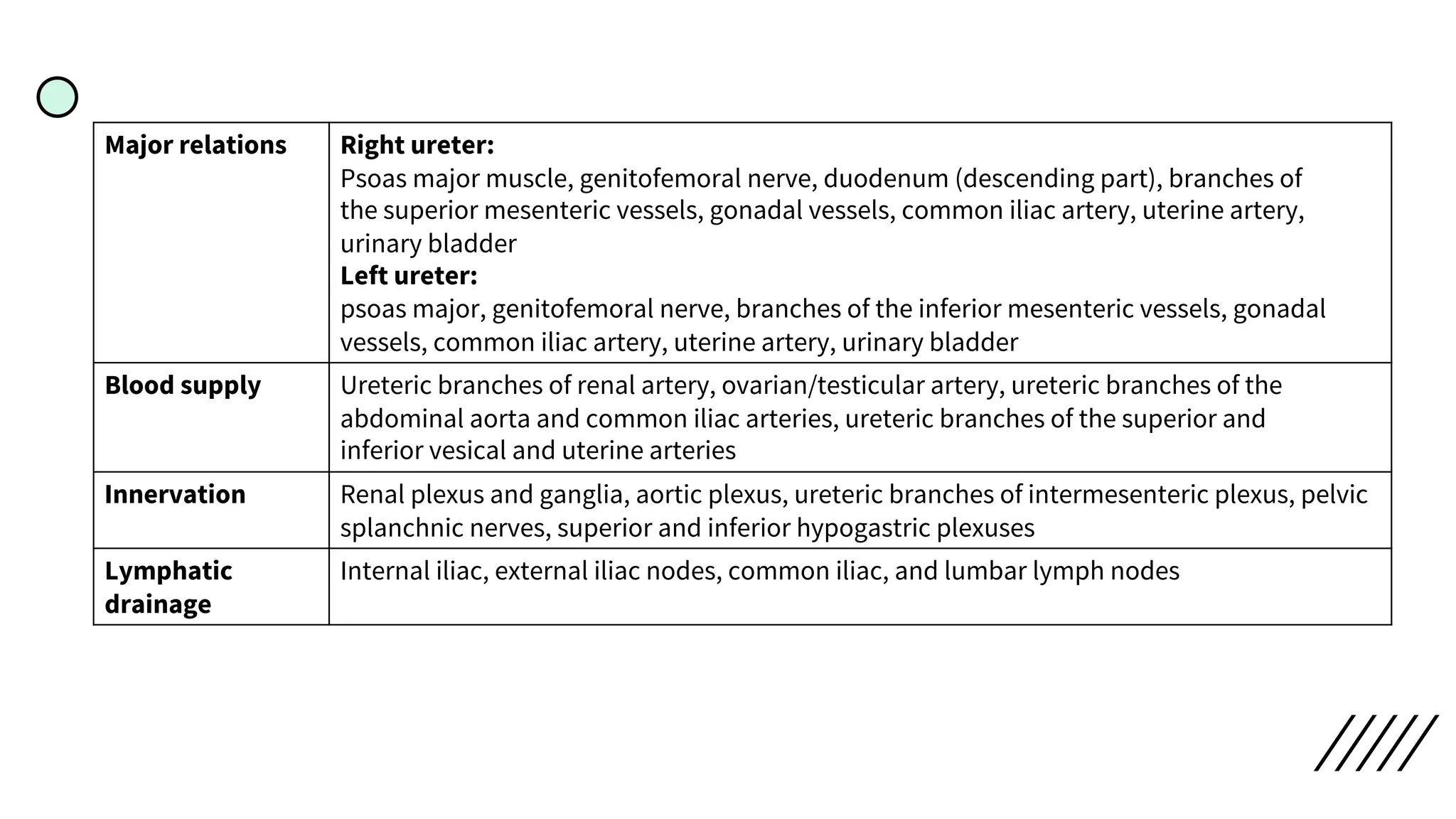 Major relations Right ureter:
Psoas major muscle, genitofemoral nerve, duodenum (descending part), branches of
the superior mesenteric vessels, gonadal vessels, common iliac artery, uterine artery,
urinary bladder
Left ureter:
psoas major, genitofemoral nerve, branches of the inferior mesenteric vessels, gonadal
vessels, common iliac artery, uterine artery, urinary bladder
Blood supply Ureteric branches of renal artery, ovarian/testicular artery, ureteric branches of the
abdominal aorta and common iliac arteries, ureteric branches of the superior and
inferior vesical and uterine arteries
Innervation Renal plexus and ganglia, aortic plexus, ureteric branches of intermesenteric plexus, pelvic
splanchnic nerves, superior and inferior hypogastric plexuses
Lymphatic
drainage
Internal iliac, external iliac nodes, common iliac, and lumbar lymph nodes
 