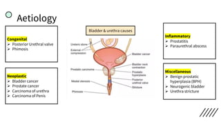 Aetiology
Bladder & urethra causes
Congenital
Ø Posterior Urethral valve
Ø Phimosis
Neoplastic
Ø Bladder cancer
Ø Prostate cancer
Ø Carcinoma of urethra
Ø Carcinoma of Penis
Miscellaneous
Ø Benign prostatic
hyperplasia (BPH)
Ø Neurogenic bladder
Ø Urethra stricture
Inflammatory
Ø Prostatitis
Ø Paraurethral abscess
 
