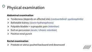 Physical examination
Abdominal examination
Ø Tenderness (depends on affected site) (costovertebral= pyelonephritis)
Ø Ballotable kidney (severe hydronephrosis)
Ø Palpable bladder + suprapubic pain (retention)
Ø Dull on percussion (acute / chronic retention)
Ø Positive renal punch
Rectal examination
Ø Prostate or uterus pushed backward and downward
 
