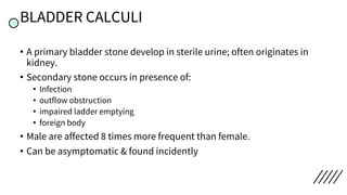 BLADDER CALCULI
• A primary bladder stone develop in sterile urine; often originates in
kidney.
• Secondary stone occurs in presence of:
• Infection
• outflow obstruction
• impaired ladder emptying
• foreign body
• Male are affected 8 times more frequent than female.
• Can be asymptomatic & found incidently
 