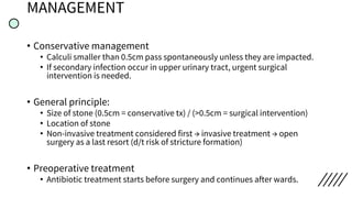 MANAGEMENT
• Conservative management
• Calculi smaller than 0.5cm pass spontaneously unless they are impacted.
• If secondary infection occur in upper urinary tract, urgent surgical
intervention is needed.
• General principle:
• Size of stone (0.5cm = conservative tx) / (>0.5cm = surgical intervention)
• Location of stone
• Non-invasive treatment considered first → invasive treatment → open
surgery as a last resort (d/t risk of stricture formation)
• Preoperative treatment
• Antibiotic treatment starts before surgery and continues after wards.
 