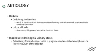 AETIOLOGY
• Dietetic
• Deficiency in vitamin A
• result in hyperkeratosis & desquamation of urinary epithelium which provides debris
for stone formation
• Uric acid foods
• Mushroom, fish/prawn, beer/wine, bamboo shoot
• Inadequate drainage & urinary stasis
• Calculi may form whenever urine is stagnates such as in hydronephrosis or
in diverticulum of the bladder
 