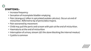SYMPTOMS:-
• Increase frequency
• Sensation of incomplete bladder emptying
• Pain (strangury) (often in spiculated oxalate calculus). Occurs at end of
micturition. Referred to tip of penis/labia majora.
• Pain worsened by movement
• Child may pull the penis and scream with pain at the end of micturition.
• Haematuria at the end of micturition
• Interruption of urinary stream (d/t the stone blocking the internal meatus)
• Cystitis is common
 