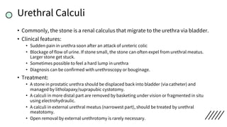 Urethral Calculi
• Commonly, the stone is a renal calculus that migrate to the urethra via bladder.
• Clinical features:
• Sudden pain in urethra soon after an attack of ureteric colic
• Blockage of flow of urine. If stone small, the stone can often expel from urethral meatus.
Larger stone get stuck.
• Sometimes possible to feel a hard lump in urethra
• Diagnosis can be confirmed with urethroscopy or bouginage.
• Treatment:
• A stone in prostatic urethra should be displaced back into bladder (via catheter) and
managed by litholapaxy/suprapubic cystotomy.
• A calculi in more distal part are removed by basketing under vision or fragmented in situ
using electrohydraulic.
• A calculi in external urethral meatus (narrowest part), should be treated by urethral
meatotomy.
• Open removal by external urethrotomy is rarely necessary.
 