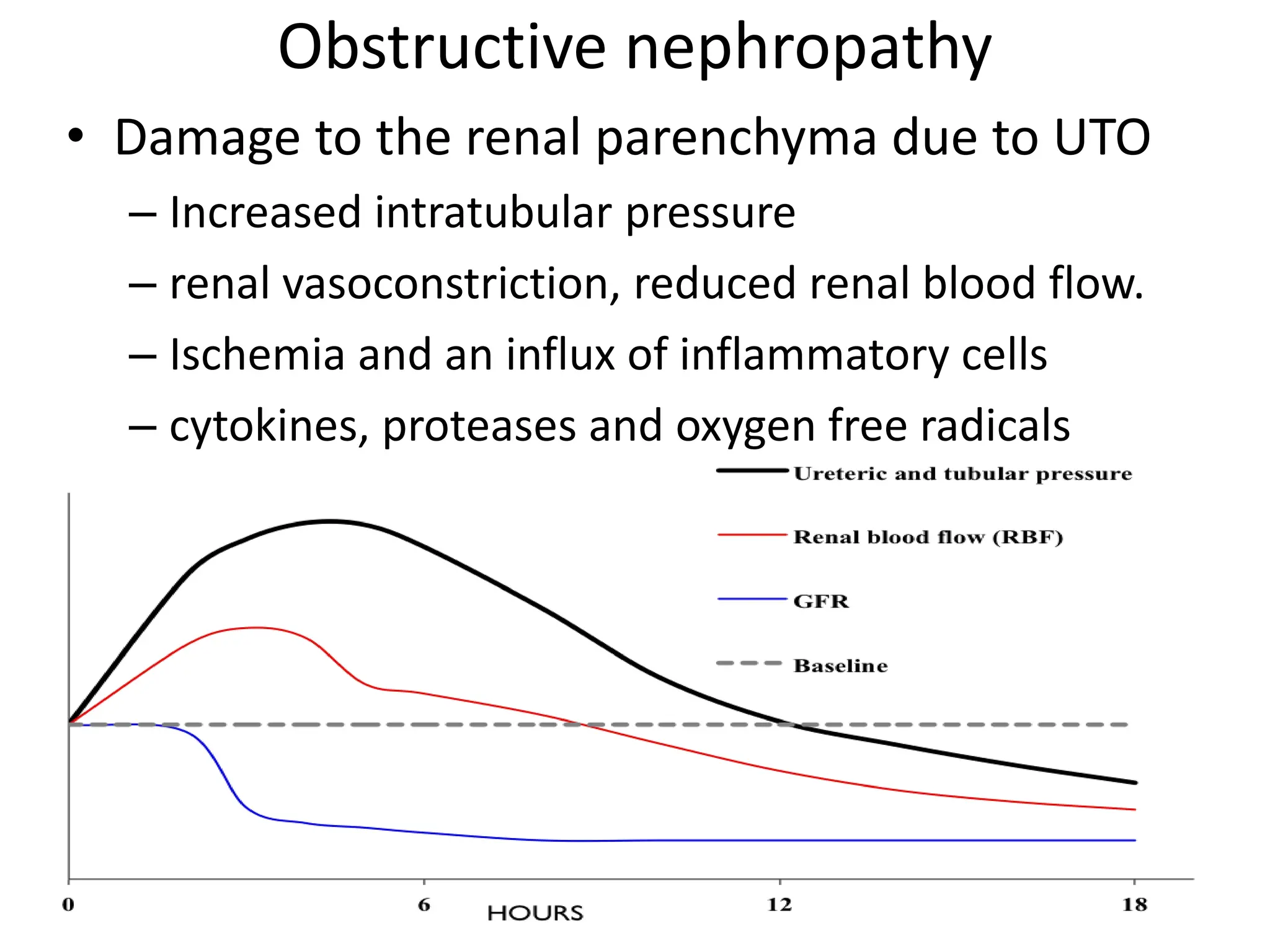 Obstructive nephropathy
• Damage to the renal parenchyma due to UTO
– Increased intratubular pressure
– renal vasoconstriction, reduced renal blood flow.
– Ischemia and an influx of inflammatory cells
– cytokines, proteases and oxygen free radicals
 