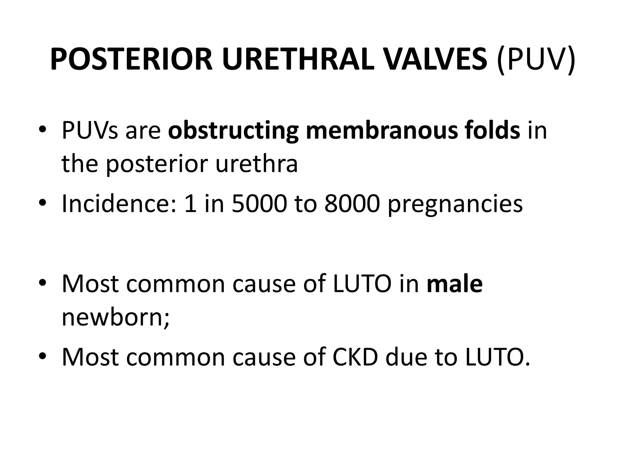 POSTERIOR URETHRAL VALVES (PUV)
• PUVs are obstructing membranous folds in
the posterior urethra
• Incidence: 1 in 5000 to 8000 pregnancies
• Most common cause of LUTO in male
newborn;
• Most common cause of CKD due to LUTO.
 