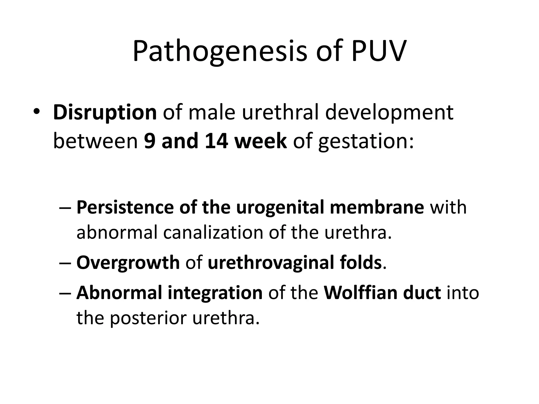Pathogenesis of PUV
• Disruption of male urethral development
between 9 and 14 week of gestation:
– Persistence of the urogenital membrane with
abnormal canalization of the urethra.
– Overgrowth of urethrovaginal folds.
– Abnormal integration of the Wolffian duct into
the posterior urethra.
 