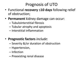 Prognosis of UTO
• Functional recovery ≤10 days following relief
of obstruction;
• Permanent kidney damage can occur:
– Tubulointerstitial fibrosis
– Tubular atrophy and apoptosis
– Interstitial inflammation
• Prognostic factors include:
– Severity &/or duration of obstruction
– Hypertension,
– Infection
– Preexisting renal disease
 