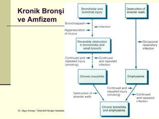 Kronik Bronşit
ve Amfizem




Dr. Olgun Kontaş * Obstrüktif Akciğer Hastalıkları   12/55
 