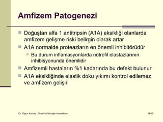 Amfizem Patogenezi
 Doğuştan alfa 1 antitripsin (A1A) eksikliği olanlarda
  amfizem gelişme riski belirgin olarak artar
 A1A normalde proteazların en önemli inhibitörüdür
           Bu durum inflamasyonlarda nötrofil elastazlarının
            inhibisyonunda önemlidir
 Amfizemli hastaların %1 kadarında bu defekt bulunur
 A1A eksikliğinde elastik doku yıkımı kontrol edilemez
     ve amfizem gelişir




Dr. Olgun Kontaş * Obstrüktif Akciğer Hastalıkları              24/55
 