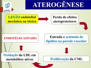 ATEROGÊNESE
LESÃO endotelial
mecânica ou tóxica
Entrada e acúmulo de
lipídios na parede vascular
Proliferação da CML
Oxidação do LDL em
metabólitos ativos
ENDOTÉLIO ATIVADO
Perda de efeitos
ateroprotetores
 