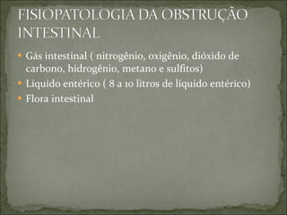 Gás intestinal ( nitrogênio, oxigênio, dióxido de carbono, hidrogênio, metano e sulfitos) Líquido entérico ( 8 a 10 litros de líquido entérico) Flora intestinal 
