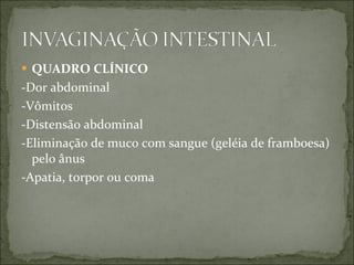 QUADRO CLÍNICO -Dor abdominal -Vômitos -Distensão abdominal -Eliminação de muco com sangue (geléia de framboesa) pelo ânus -Apatia, torpor ou coma 