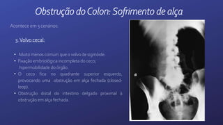 Acontece em 3 cenários:
3.Volvo cecal:
• Muito menos comum que o volvo de sigmóide.
• Fixação embriológica incompleta do ceco;
hipermobilidade do órgão.
• O ceco fica no quadrante superior esquerdo,
provocando uma obstrução em alça fechada (closed-
loop).
• Obstrução distal do intestino delgado proximal à
obstrução em alça fechada.
Obstrução doColon:Sofrimento de alça
 