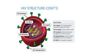 HIV structure,pathogenesis, classification and transmiss | PPTX