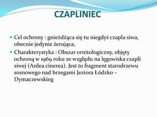 CZAPLINIEC
 Cel ochrony : gnieżdżąca się tu niegdyś czapla siwa,

obecnie jedynie żerująca,
 Charakterystyka : Obszar or...
