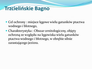Trzcielińskie Bagno
 Cel ochrony : miejsce lęgowe wielu gatunków ptactwa

wodnego i błotnego,
 Charakterystyka : Obszar ...
