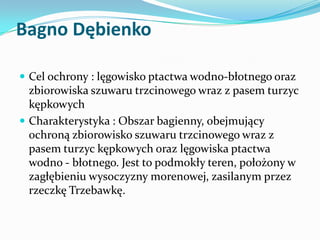 Bagno Dębienko
 Cel ochrony : lęgowisko ptactwa wodno-błotnego oraz

zbiorowiska szuwaru trzcinowego wraz z pasem turzyc
...
