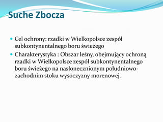Suche Zbocza
 Cel ochrony: rzadki w Wielkopolsce zespół

subkontynentalnego boru świeżego
 Charakterystyka : Obszar leśn...