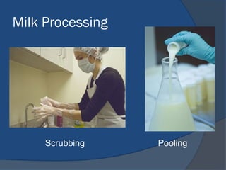 Milk Processing
Scrubbing Pooling
 