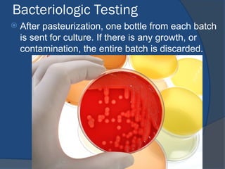 Bacteriologic Testing
 After pasteurization, one bottle from each batch
is sent for culture. If there is any growth, or
contamination, the entire batch is discarded.
 
