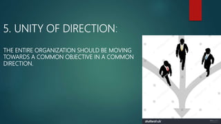 Fayol’s Principles of Management, Behavioural Approach to Management ...