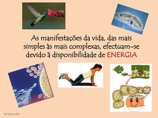 As manifestações da vida, das mais
                   simples às mais complexas, efectuam-se
                    devido à disponibilidade de ENERGIA




Mª João Carvalho
 