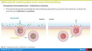 Obtenção de matéria
Obtenção de matériapelos seres vivos heterotróficos
Transportes transmembranares – endocitose e exocitose
― O transportede grandes quantidade de macromoléculas para dentro ou para fora das células faz-sedentro de
vesiculas, por endocitose ou exocitose.
Fig. 15 – Comparação entre a endocitose e a exocitose.
 
