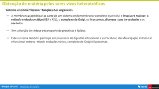 Obtenção de matéria
Obtenção de matériapelos seres vivos heterotróficos
Sistema endomembranar: funções dos organelos
― A membrana plasmática faz partede um sistema endomembranar complexo que inclui o invólucronuclear, o
retículoendoplasmático (RERe REL), o complexode Golgi, os lisossomas, diversostipos de vesículas eos
vacúolos.
― Tem a função de síntese e transportede proteínas e lípidos.
― Estes sistema também participa em processos dedigestão intracelular e extracelular, devido à ligação estrutural
e funcional entre o retículo endoplasmático, complexo de Golgi e lisossomas.
 