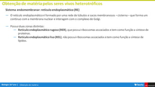 Obtenção de matéria
Obtenção de matériapelos seres vivos heterotróficos
Sistema endomembranar: retículo endoplasmático (RE)
― O retículo endoplasmático é formado por uma rede de túbulos e sacos membranosos –cisterna– que forma um
continuo coma membrananuclear e interagem com o complexo de Golgi.
― Possuiduas zonas distintas:
― Retículoendoplasmáticorugoso(RER), quepossuiribossomas associados etem como função a síntese de
proteínas.
― Retículoendoplasmáticoliso(REL), não possuiribossomas associados etem como função a síntese de
lípidos.
 