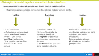Obtenção de matéria
Obtenção de matériapelos seres vivos heterotróficos
Membrana celular – Modelo do mosaico fluido: estrutura e composição
― Os principais componentes da membranas são proteínas, lípidos e também glícidos.
Lípidos
São essencialmente
fosfolípidos quepossuemduas
caudas hidrofóbicas –região
apolar – e uma cabeça
hidrofílica–região polar.
Existe também colesterolnas
membranas das células
animais
As proteínas podem ser
intrínsecas/integradas ou
extrínsecas/periféricas.
As integradas só podemser
removidas sea membrana for
destruída.
As periféricas estão ligadas de
forma fracaà membrana.
Proteínas Glícidos
Localizam-seno exterior da
membrana e projetam-sea partir
da mesma para o meio
extracelular.
Estão associados a lípidos,
glicolípidos, ou a proteínas,
glicoproteínas.
 