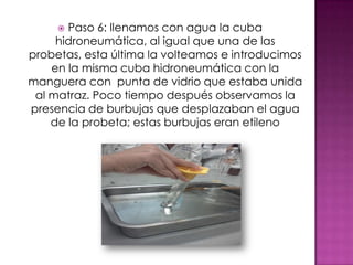  Paso 6: llenamos con agua la cuba
     hidroneumática, al igual que una de las
probetas, esta última la volteamos e introducimos
    en la misma cuba hidroneumática con la
manguera con punta de vidrio que estaba unida
 al matraz. Poco tiempo después observamos la
presencia de burbujas que desplazaban el agua
    de la probeta; estas burbujas eran etileno
 