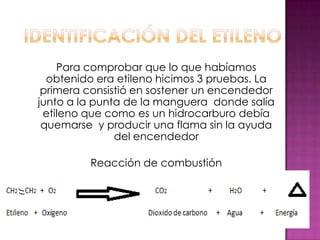 Para comprobar que lo que habíamos
  obtenido era etileno hicimos 3 pruebas. La
 primera consistió en sostener un encendedor
junto a la punta de la manguera donde salía
 etileno que como es un hidrocarburo debía
 quemarse y producir una flama sin la ayuda
               del encendedor

         Reacción de combustión
 
