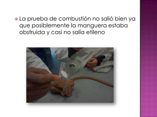  La
   prueba de combustión no salió bien ya
 que posiblemente la manguera estaba
 obstruida y casi no salía etileno
 
