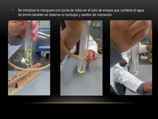 •   Se introduce la manguera con punta de vidrio en el tubo de ensaye que contiene el agua
    de bromo también se observa un burbujeo y cambio de coloración.
 