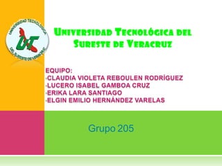 UNIVERSIDAD TECNOLÓGICA DEL
SURESTE DE VERACRUZ
Grupo 205
 