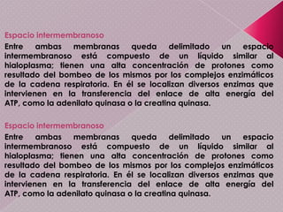 ESTRUCTURA Y COMPOSICIONMembrana externa Es una bicapa lipídica exterior permeable a iones, metabolitos y muchos polipéptidos. Eso es debido a que contiene proteínas que forman poros, llamadas porinas o VDAC (de canal aniónico dependiente de voltaje), que permiten el paso de grandes moléculas de hasta 10.000 Dalton y un diámetro aproximado de 20 Å. La membrana externa realiza relativamente pocas funciones enzimáticas o de transporte. Contiene entre un 60 y un 70% de proteínas.Membrana internaLa membrana interna contiene más proteínas, carece de poros y es altamente selectiva; contiene muchos complejos enzimáticos y sistemas de transporte transmembrana, que están implicados en la translocación de moléculas. Esta membrana forma invaginaciones o pliegues llamadas crestas mitocondriales, que aumentan mucho la superficie para el asentamiento de dichas enzimas. En la mayoría de los eucariontes, las crestas forman tabiques aplanados perpendiculares al eje de la mitocondria, pero en algunos protistas tienen forma tubular o discoidal. En la composición de la membrana interna hay una gran abundancia de proteínas (un 80%), que son además exclusivas de este orgánulo: