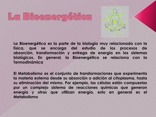 La BioenergéticaLa Bioenergética es la parte de la biología muy relacionada con la física, que se encarga del estudio de los procesos de absorción, transformación y entrega de energía en los sistemas biológicos. En general, la Bioenergética se relaciona con la TermodinámicaEl Metabolismo es el conjunto de transformaciones que experimenta la materia externa desde su absorción o adición al citoplasma, hasta su eliminación del mismo. Por ejemplo, las células están compuestas por un complejo sistema de reacciones químicas que generan energía y otras que utilizan energía, esto en general es el Metabolismo