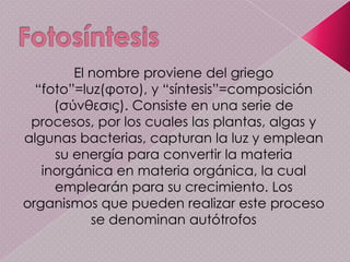 Formación de acetil coenzima A