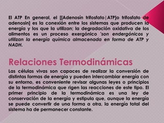 El Catabolismo (Degradación de sustancias complejas)Estos representan la suma de cambios químicos que convierten los alimentos en formas utilizables de energía y en moléculas biológicas complejas.