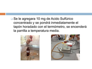  Se le agregara 10 mg de Acido Sulfúrico
 concentrado y se pondrá inmediatamente el
 tapón horadado con el termómetro, se encenderá
 la parrilla a temperatura media.
 