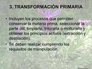 www.sierradebaza.org
3. TRANSFORMACIÓN PRIMARIA
• Incluyen los procesos que permiten
conservar la materia prima, seleccionar la
parte útil, limpiarla, triturarla o molturarla y
obtener los principios activos (extracción y
destilación).
• Se deben realizar cumpliendo los
requisitos de manipulación.
 