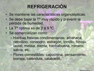 www.sierradebaza.org
REFRIGERACIÓN
• Se mantiene las características organolépticas.
• Se debe bajar la Tª muy rápido y prevenir la
pérdida de humedad.
• La Tª óptima es de 2 a 9 ºC.
• Se comercializan como:
– Hierbas frescas condimentarias: albahaca,
cebollino, coriandro, estragón, tomillo, hinojo,
laurel, melisa, menta, hierbabuena, romero,
salvia, etc.
– Flores comestibles: capuchina, pensamiento,
borraja, caléndula, calabacín.
 