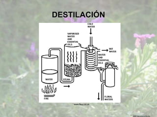 www.sierradebaza.org
DESTILACIÓN
www.fleur.co.uk
 
