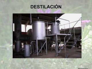 www.sierradebaza.org
DESTILACIÓN
 