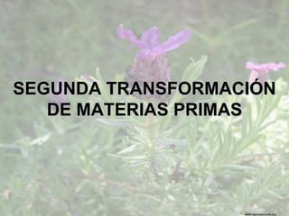 www.sierradebaza.org
SEGUNDA TRANSFORMACIÓN
DE MATERIAS PRIMAS
 