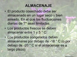 www.sierradebaza.org
ALMACENAJE
• El producto cosechado debe ser
almacenado en un lugar seco y bien
aireado. En el que las fluctuaciones
diarias de Tª sean limitadas.
• Los productos frescos se deben
almacenar entre 1 y 5 ° C.
• Los productos congelados deben
almacenarse por debajo de -18 ° C (o por
debajo de -20 ° C si el almacenaje es a
largo plazo)
 